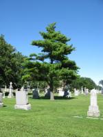 Chicago Ghost Hunters Group investigates Calvary Cemetery (107).JPG